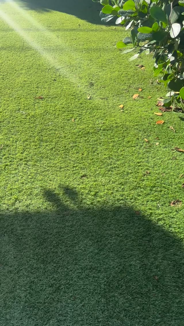 #beforeandafter #turfcleaning #pressurecleaning #disinfecting #roofcleaning #softwashing #pressurewashing #detailing #ceramiccoating #tnacleans #tnawedontplay call today for a free estimate 3053189961 www.tnacleans.com