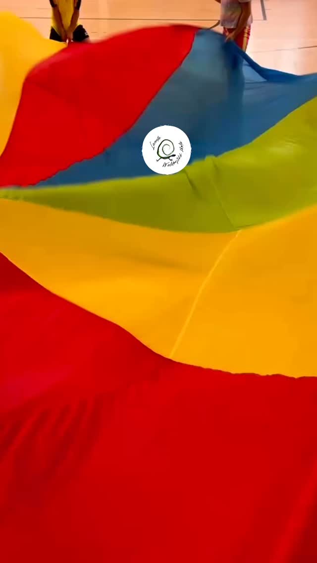 Kroužky u nás ve škole
🤸♀️ Sportovní hry
Sportovní hry u nás nejsou o výkonu ani soutěžení.
Děti se skrze pohyb učí vnímat své tělo,
rozvíjejí obratnost, spolupráci
a hlavně radost z pohybu.
Hravou a kreativní formou
děti objevují běh, skok, rovnováhu i fantazii.
Pohyb přirozeně, s lehkostí a úsměvem.
Kroužek je určen pro děti 1. a 2. třídy
a probíhá v bezpečném, podpůrném prostředí
waldorfské školy.
Další kroužky již brzy 😇
#waldorflacerta #skola #pohyb