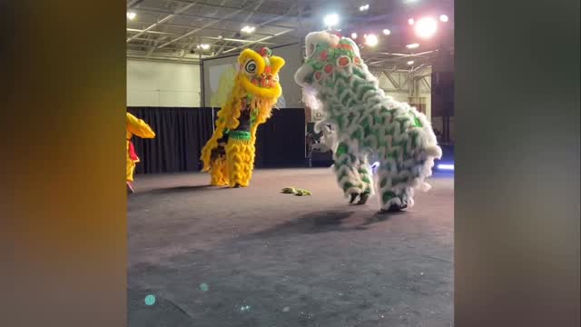 Recap of yhe ZYKFA performances at this year’s Hmong New Year Festival. Want to be part of the fun? Come join our team! #zykfa #liondance #joinus #team #madisonwi