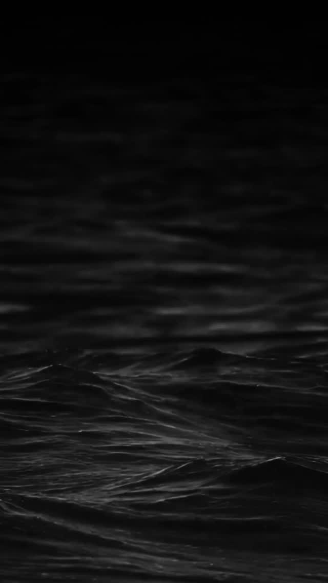 What a year it has been for The Whiskey Project Group. From being awarded our first US Navy contract to be built out of our new Edenton manufacturing hub, to seeing our watercraft equip operators with the tools they need for mission success.
This year saw the successful launch of the VYCOR watercraft brand alongside our NAiAD and The Whiskey Project ranges. Together, these high-performance fleets are reaching the front lines, ensuring operators are better equipped for their daily challenges through our commitment to innovation and safety.
We are grateful for the incredible community that has supported us every step of the way. Cheers to an incredible 2025 and we look forward to what’s to come in 2026.
#TWPG #2025recap #boatbuilders #happynewyear #watercraft