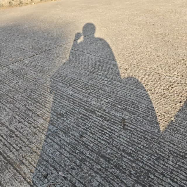 I cannot explain peace in words, but I can show you... #peace #contented