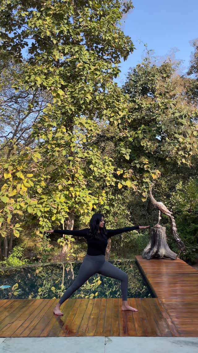 In the forest yoga feels remembered.
Practising in the forest changes more than how we feel. Trees release phytoncides, aromatic compounds that help them thrive. When inhaled, these compounds have been shown to lower cortisol, calm the nervous system, and support immune function.
This is why breath deepens without effort. Why movement feels slower, more intuitive. The environment begins to work with the body, not just around it.
Yoga in the forest is not just a change of setting.
It’s a biological conversation with nature.
#YogaInTheForest #ForestYoga #NatureYoga #YogaInNature #OutdoorYoga #ForestBathing #ShinrinYoku #NatureHeals #NatureAsMedicine #MindBodyConnection #NervousSystemHealing #SlowWellness #ConsciousLiving #ReturnToNature #EcoWellness