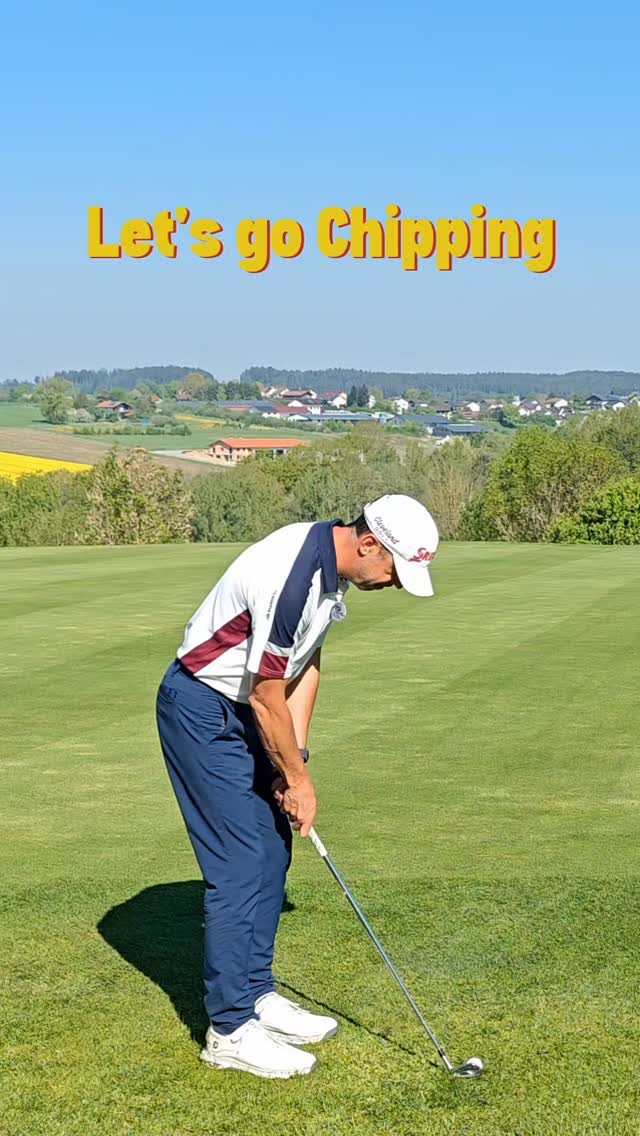 Let's Start Basic Chipping
#zgolf #golftips #shortgame