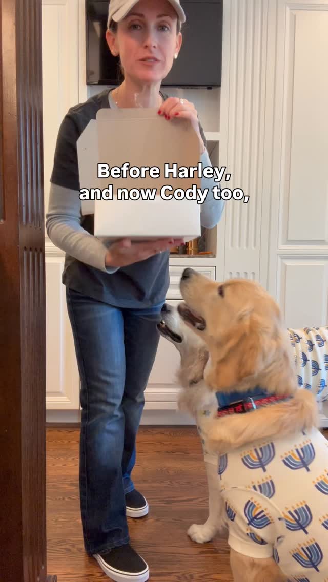 We have an extra line of defense. Literally.
And a shout-out to Joey, the best Treat Distribution Supervisor ever! 💙🐾
Harley is a golden retriever allergen alert service dog trained to detect peanuts for her peanut allergic human. Harley is also known as Detective Harley, F.A.D.D. Food Allergy Detection Dog®️. Cody is her little brother and is training to be just like her. Joey is our Treat Distribution Supervisor. We help food allergy families navigate snacks, restaurants, and food allergy life, one whiff at a time.
🐾 This account is for information only. You should be certain to conduct your own research to ensure your safety from your allergens.
🐾 We encourage sharing our content to help educate and spread food allergy awareness.
#foodallergies #servicedog #goldenretriever
