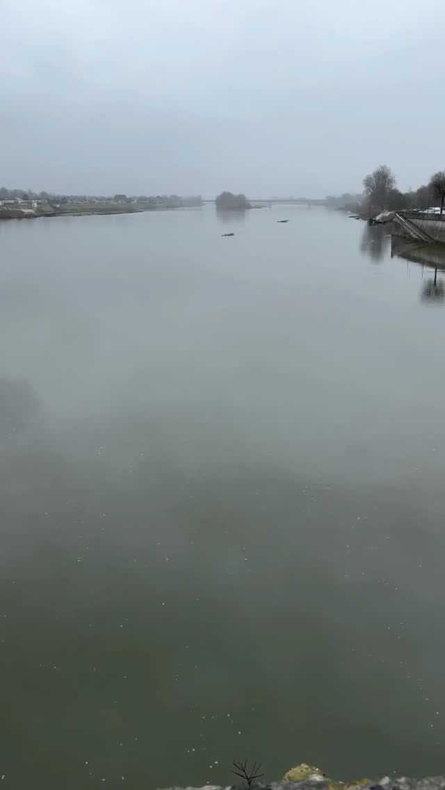 Les vacances de Noël commencent.
Un temps précieux pour ralentir, se retrouver, partager des moments simples… et lever les yeux.
Que l’on soit petit ou grand, ces jours hors du temps sont une invitation à la douceur : balades au grand air, instants au chaud, rires partagés et souvenirs à créer. Le long de la Loire, l’hiver dévoile une autre poésie, calme et lumineuse, propice à la pause et à l’émerveillement.
Toute l’équipe de Loire en Vie vous souhaite de très belles vacances de Noël, pleines de sérénité, de chaleur humaine et de petits bonheurs à savourer.
#Vacances #noel #loire #loireenvie