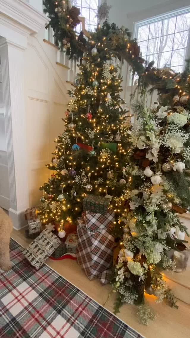 🌲It’s Christmas Eve — and instead of letters to Santa, they’re writing vows to each other.
From a home full of memories to a home full of new beginnings. Christmas Day, their space becomes a wedding dream—intimate, heartfelt, and wrapped in the gentle glow of florals and love. @enza.events
Wedding pictures to come 😊
#christmaseve #christmaswedding #weddings2025 #weddingplanner #intimatewedding