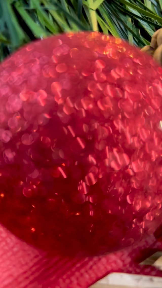 ✨ Repas de Noël d’entreprise – 250 convives ✨
Mardi midi, on a régalé 250 gourmands au siège CSP / Bleu Libellule / NYX à Gallargues-le-Montueux 😍
Au menu 👇
🥂 Buffet d’entrées
• Toasts de foie gras, chutney de figues & fleur de sel
• Toasts de saumon fumé & fromage frais
• Bar à croquetas
🍽️ Plats cuisinés
• Fideuà de la mer
• Poulet à la forestière & gratin dauphinois
🍰 Desserts
• Bûches glacées de Noël
250 personnes, une ambiance chaleureuse, du partage… Bref, un Noël comme on les aime ❤️
#repasdenoel #repasentreprise #buffetdenoel #buffetevent #traiteurevenementiel #eventcatering #foodforevents #montpellier #montpellierfood #herault #occitanie #suddelafrance
#christmasfood #christmaslunch #christmasbuffet