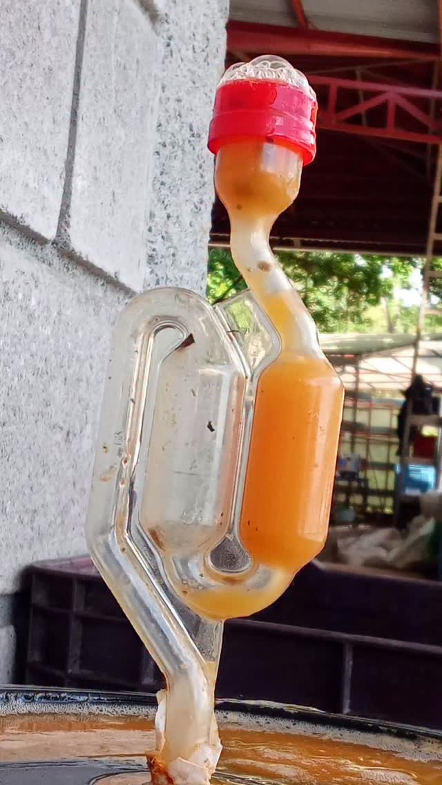 💗 Passion fruit maceration 💗
🤝 If you’re a roaster seeking a long-term business relationship with the specialty coffee farmers who farm your beans, reach out!
🔗 Click the link in our bio or DM our farming group. We ship almost anywhere on pallets.
#greencoffee #specialtycoffee #nicaragua #naturalprocess #honeyprocess #thirdwavecoffee #anaerobiccoffee #pacamara #directtrade #directtradecoffee #passionfruitmaceration #pasiflora #sustainablecoffee #biodynamiccoffee #coffeeroaster #coffeesorting #coffeeroasting #coffeefarm #sampleroasting #goldmtncoffee #besocialbegold #coffeefermentation #carbonicmacerationcoffee #nicaraguancoffee #worldofcoffee #yellowpacamara #yeastcoffee