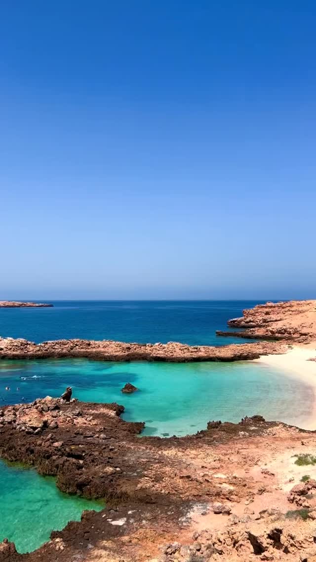 The Daymaniyat Islands are a natural paradise of crystal-clear waters, coral reefs, and untouched beauty. One of Oman’s most stunning marine sanctuaries, perfect for snorkeling and pure escape. 🐠🌊
Las islas Daymaniyat son un paraíso natural de aguas cristalinas, arrecifes de coral y belleza virgen. Uno de los santuarios marinos más impresionantes de Omán, ideal para desconectar y explorar. 🐢🌊
#DaymaniyatIslands #OmanSea #Oman #VisitOman #OmanTravel Snorkeling MarineLife IslandEscape MiddleEastTravel Omán Viajes Turismo