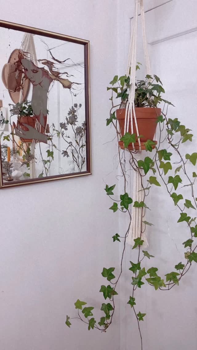 Hold on it’s Friday….💃✨❣️💋
+ Added the coolest art print @mattallen_art to my little shelfie collection - YEE HAW 🤠🏄