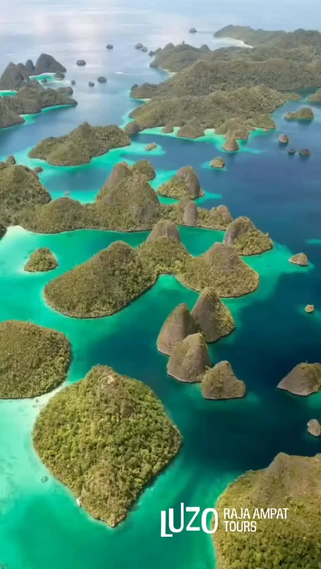 ✨ Want to see it all? ✨
From turquoise lagoons and hidden islands to world-class snorkeling and breathtaking viewpoints — Raja Ampat has it all.
🌴🐠🏝️
Join us on our tours and experience this paradise in a relaxed, personal way.
📍 Island hopping
📍 Snorkeling & nature
📍 Small groups & local experience
DM us for details or check the link in bio 💙
#rajaampat #rajaampattrip #wayag #Ayau #westpapua #snorkeling #islandhopping #TravelIndonesia #WonderfulIndonesia #paradiseislands #NatureLovers