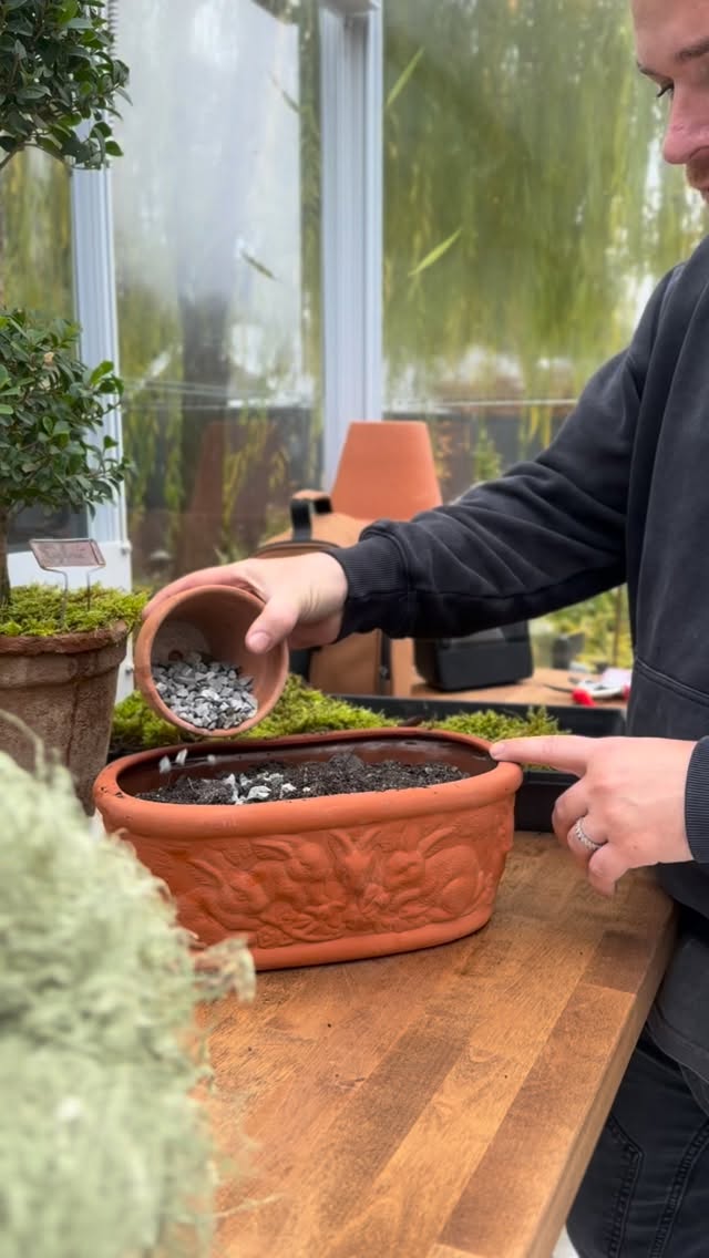 I truly think moss is such a under appreciated plant. My goal this winter is to propagate some.