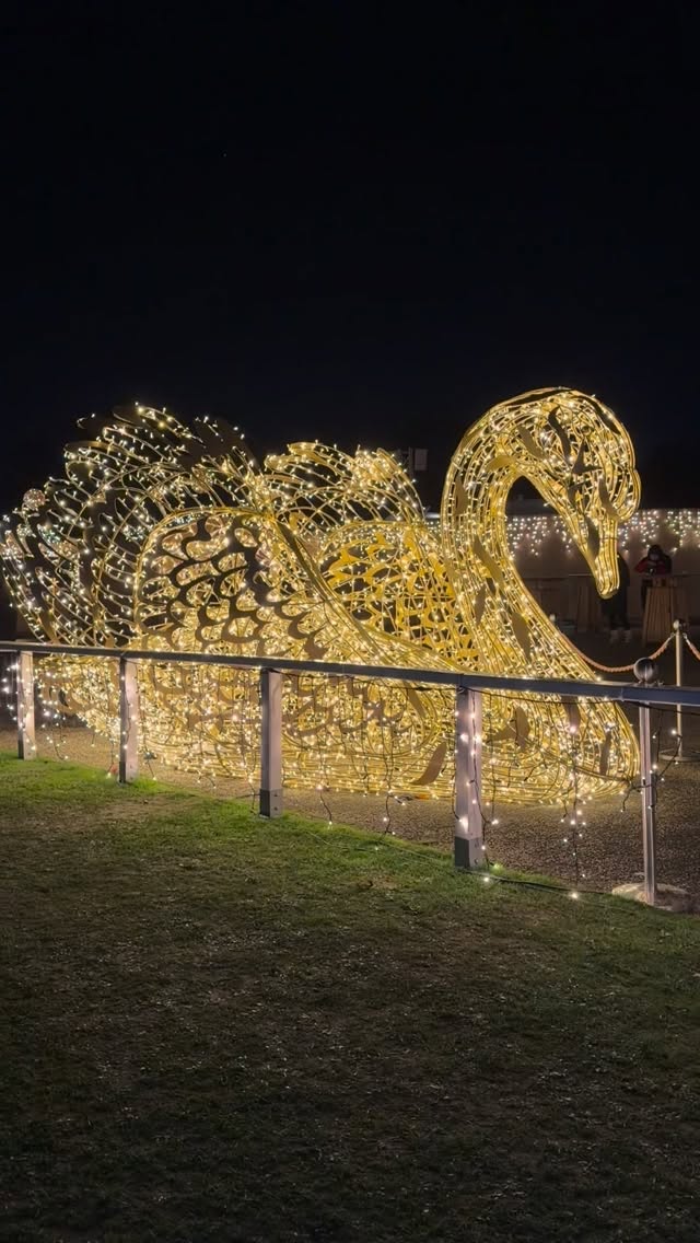 Last show in Cologne đ±
Come laugh before we disappear đ€đâš
Messiah - tomorrow! @horizonttheater #messiah #englishtheaterdĂŒsseldorf #köln #schauspiel #artists