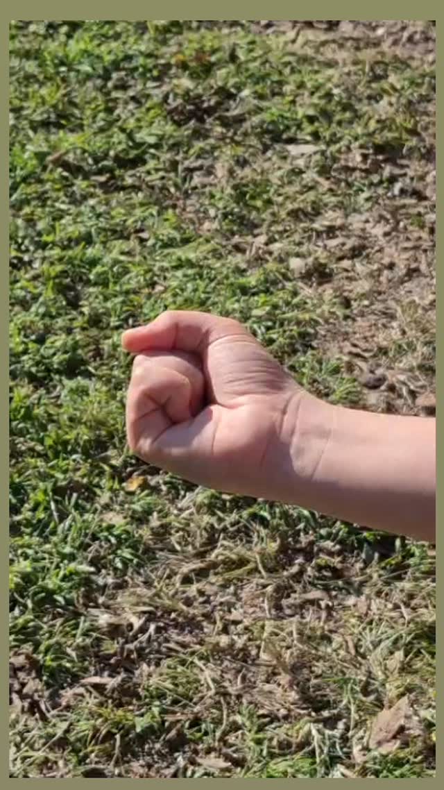  טראומה לא נפתרת בכוח, אלא דרך ביטחון, הקשבה ותנועה עדינה.
בקורס ״טראומה ורוח האדם” נלמד להבין איך טראומה מתבטאת בגוף ובנפש, ואיך לפגוש אותה בקליניקה שלכם בצורה מחזיקה ומווסתת.
הקורס מיועד למטפלות ומטפלים ברפואה סינית.
מוזמנים בחום להצטרף אלינו.