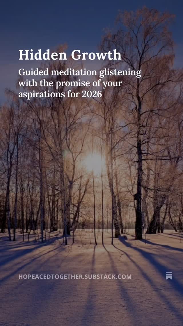 "After we release the weight of the past, we welcome the opportunity to prepare for our growth in the year ahead. Winter is a time of hidden growth."
#mentalhealth #goals #reflection