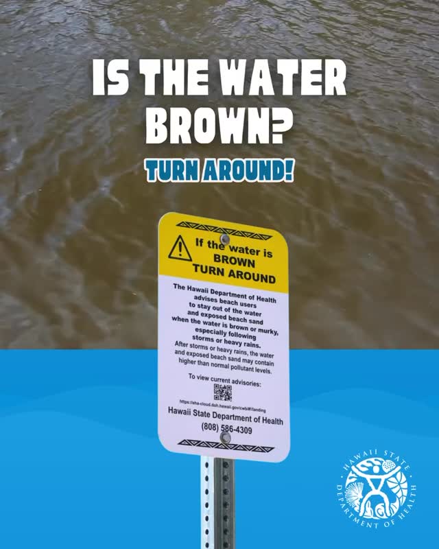 🌧️💩 RAIN = DOODOO WATER
All this rain means runoff is flowing straight into the ocean — and that runoff brings some uninvited guests with it…
🚽 doodoo water (animal feces)
🦠 bacteria
⚠️brown & green street gunk
When the ocean turns brown or murky, that’s nature saying:
🚫 “Do NOT swim right now.”
💡 Why you should care:
Swimming in runoff water can lead to stomach bugs, rashes, ear/eye infections, and other not-so-fun souvenirs.
⏰ Pro tip:
Wait 48-72 hours after heavy rain before getting back in the water — or until it looks clean and blue again.
💩If it’s brown, turn around.
Your immune system will thank you.
#DoodooWater #RainRunoff #BrownWater #OceanSafety #BeachLifeButMakeItSmart
