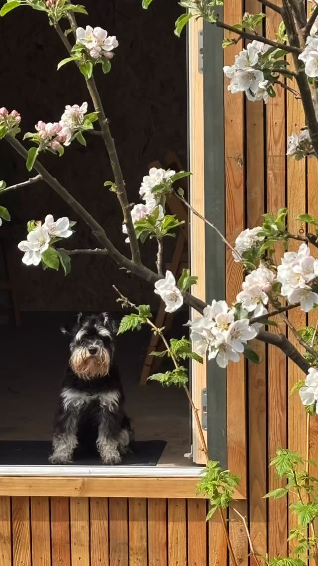 Round up of 2025. There’s been visual identities, film and photoshoots, websites, new studios, new brands and rebrands, relief printing, RISO printing and Screen printing. Thanks to everyone I’ve worked with along the way. Special thanks to my good clients and to the creative spaces and people that made doing creative stuff possible.
Time for a break. Back in January to go again.
#brandidentity #printmaking #visualidentity
Wishing you all a very merry Christmas and a Happy New Year.