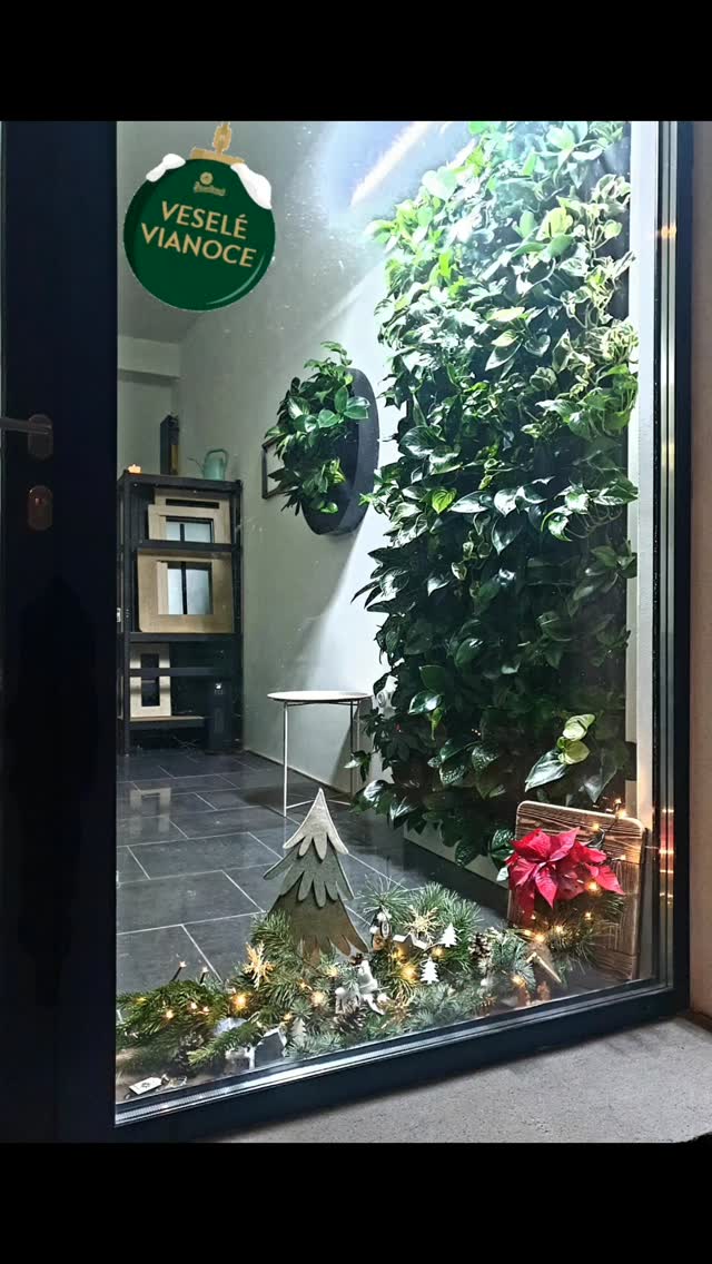 Požehnané Vianoce všetkým 🎄💚🥂
