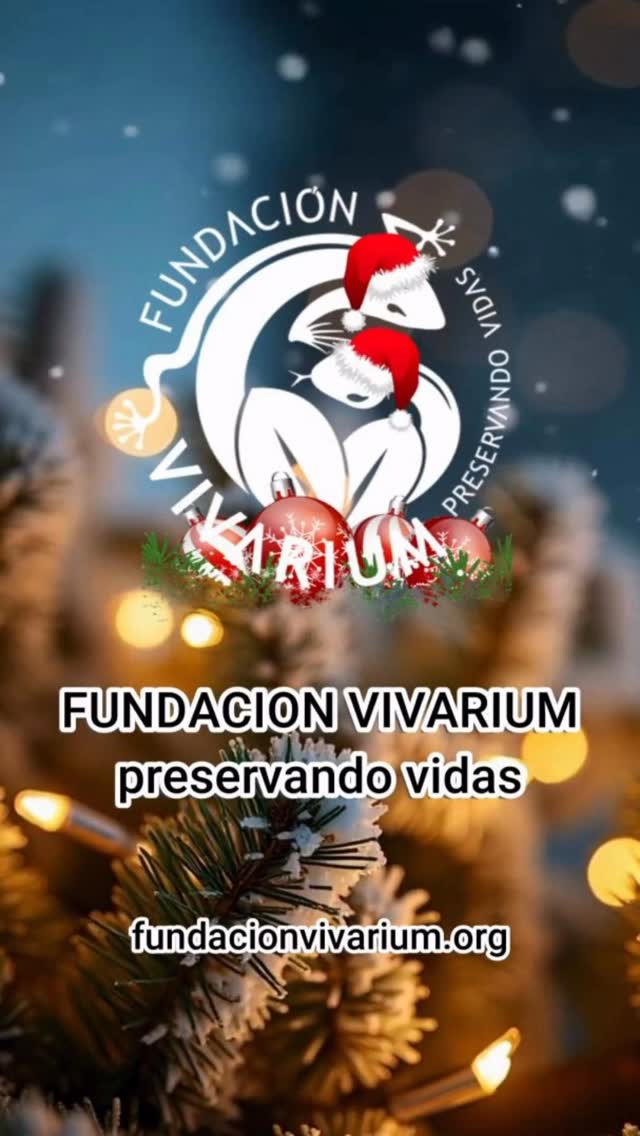 🎄✨ En estas fechas, mientras muchos celebran, otros necesitan apoyo y conocimiento.
En la Fundación Vivarium trabajamos todos los días del año para reducir la morbilidad y mortalidad del accidente ofídico, no solo conectando el problema con las soluciones, sino educando antes de que ocurran las emergencias.
📚 Puertas afuera, llevamos prevención, información y respeto por la fauna a las comunidades más vulnerables.
🏥 Puertas adentro, formamos y acompañamos al personal médico y de epidemiología para fortalecer el manejo clínico y la toma de decisiones que salvan vidas.
Porque la naturaleza no se detiene.
Y nosotros tampoco.
Esta Navidad, el mejor regalo es el conocimiento, la prevención y la esperanza.
Gracias por confiar, apoyar y caminar junto a nosotros. 🤍🐍
#Preservandovidas
#AccidenteOfídico
#Salud #FundaciónVivarium
#NavidadConPropósito