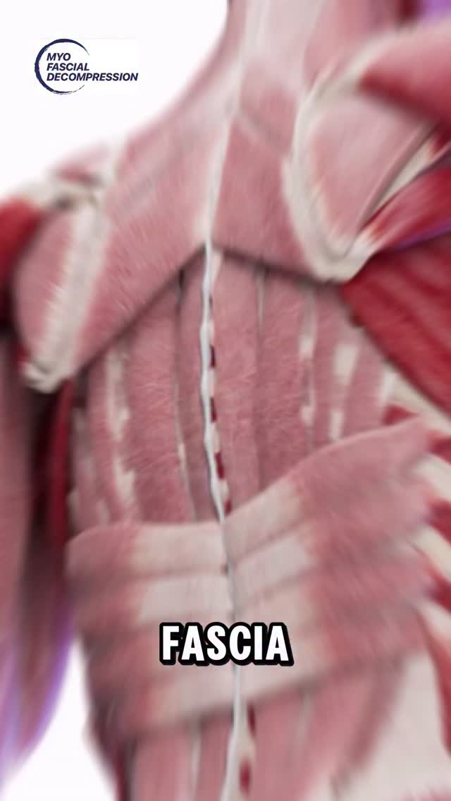 Know your anatomical layers, know your cupping pressures, and know the depth of penetration when doing manual therapy. We have done the work for you with MRI studies to distinctly show which layers in different parts of the body are being affected with various cupping therapy parameters. So you don’t have to use any more or any less than is needed with your humans.
⭕️
The #mfdprecisionpump is a gamechanger and a new objective measure you can use with clients to track changes in pressure tolerance over time. Get it free as part of the Level 2 Advanced course, or get it online in our shop: CupTherapy.com/shop