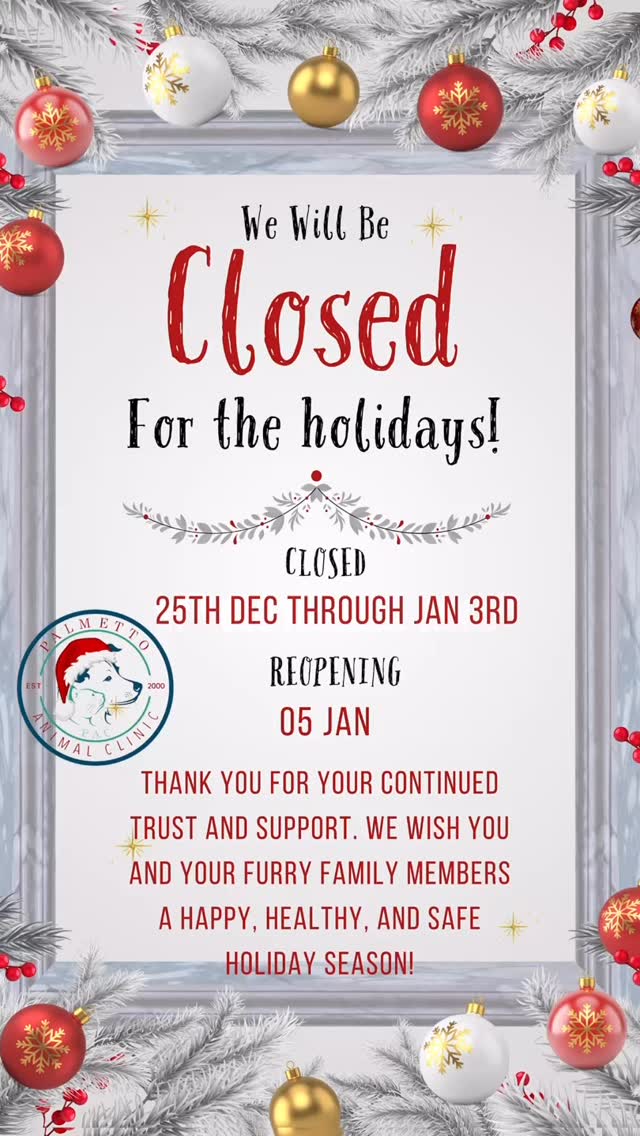 Dear clients and friends,
Palmetto Animal Clinic will be closed for the holidays from December 25th
through January 3rd
We will resume normal hours on Monday, January 5th.
Thank you for your continued trust and support. We wish you and your furry family members a happy, healthy, and safe holiday season!
- Palmetto Animal Clinic Team
Palmetto Animal Clinic
📲305-824-9990
📍1919 W 68 St. Hialeah, Fl 33014
🌐Website:
https://www.palmettoanimalclinic.net
#palmettoanimalclinic #florida #miami #hialeah #veterinarymedicine vettech vetmed PalmettoAnimalClinic NewPatient FurFamily WelcomeLittleOne