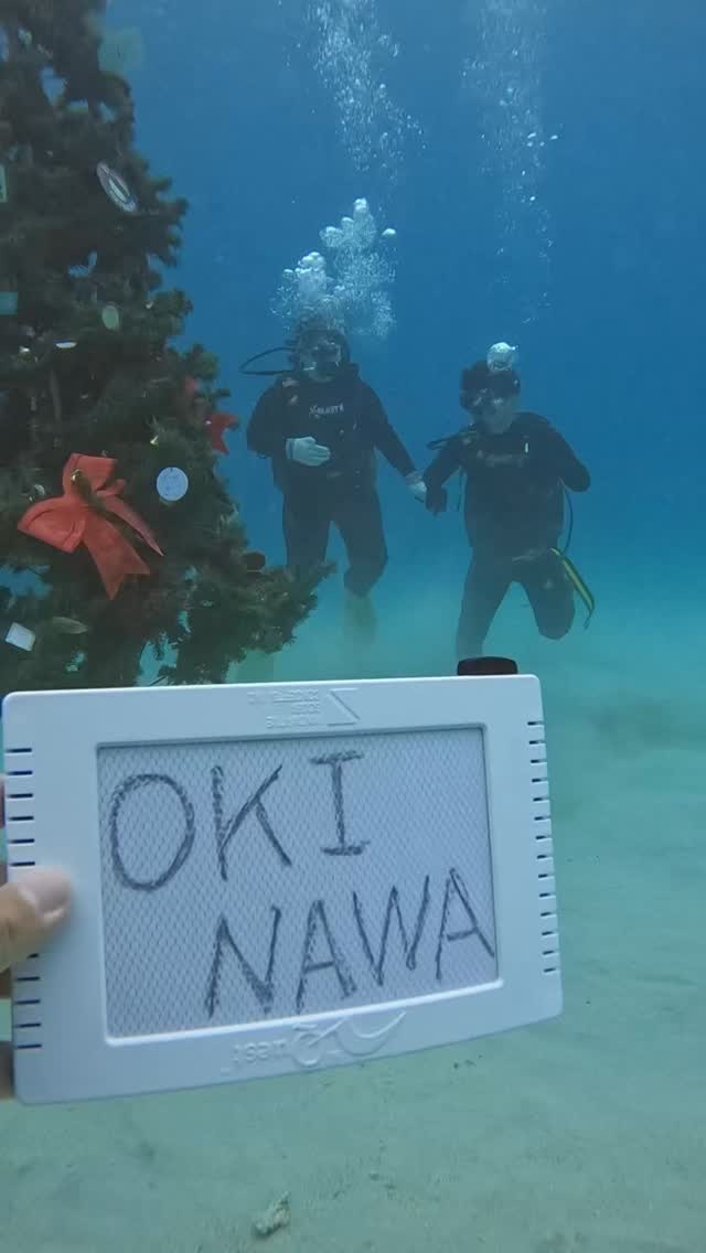 素敵なカップルがご来店。クリスマスも水中ダイビングを楽しんじゃいましょう!残りの沖縄旅行も楽しんでね!
#アワードダイビング沖縄 #クリスマス #水中世界
#christmas #diving
ハイサイ!沖縄のダイバーのコージーです!
沖縄の海でダイビングを楽しむ動画を作ってみました^_^
良いなと思ったら高評価とチャンネル登録をお願いします。
皆さんの温かいコメントで励まされています。知らんけど^_^
ーーーーーーーー
沖縄本島中北部の海で超楽しいダイビングスクールを開催しています
https://www.awoddiving.com/
※ホームページからご予約可能です。
ーーーーーーーー
インスタグラム📸
ID/awoddiving_okinawa
ーーーーーーーー
