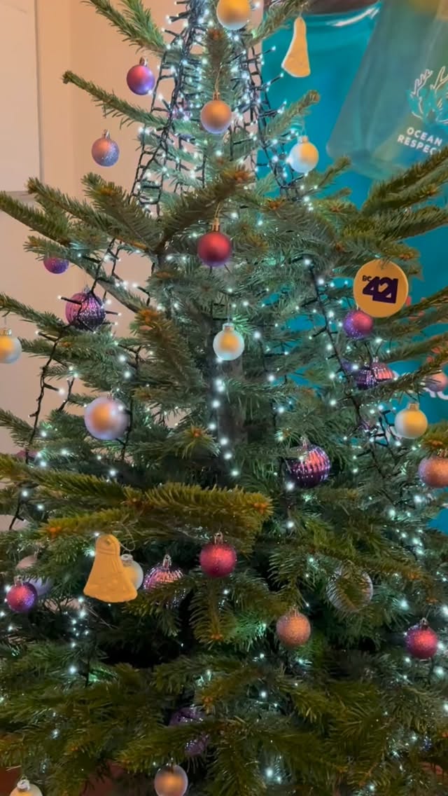 Ho-ho-ho! Ačiū visiems dalyvavusiems Kalėdiniame BC421 turnyre. Jūs – nerealūs! Linkime, kad visi, su badmintonu, susiję norai išsipildytų ir jus visus ateinančius 2026 metus linkėtų sėkmė ir stebuklai🏸. Bet svarbiausia linkime – sveikatos!
Ačiū rėmėjams: @fantazijos.lt @forumcinemaslt @trenkturas_ @astriaiastru @amberceramicsstudio
#badminton #tournament #christmas #badmintonas #turnyras #kaledos