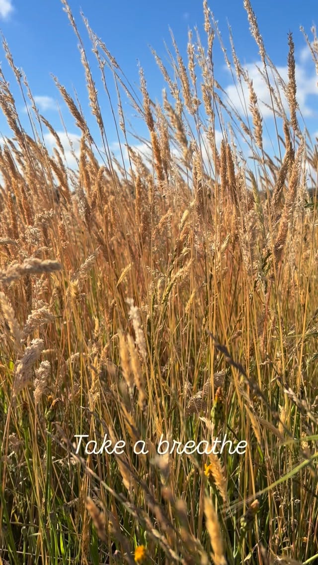 Breathe
#breathe