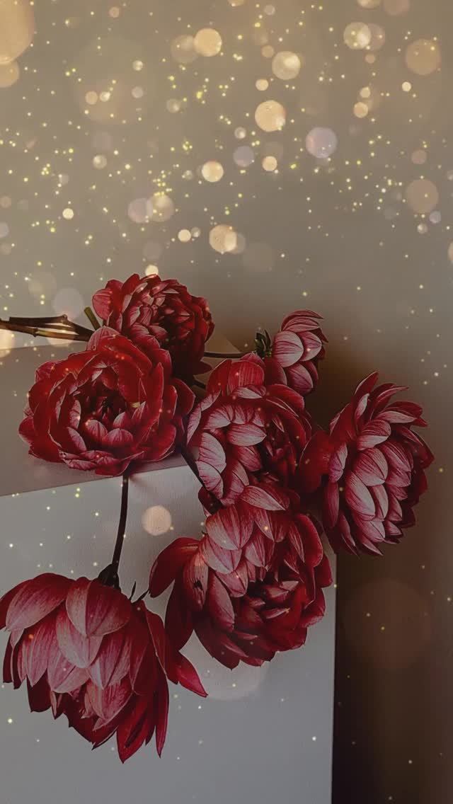 God jul på er ❤️🥰