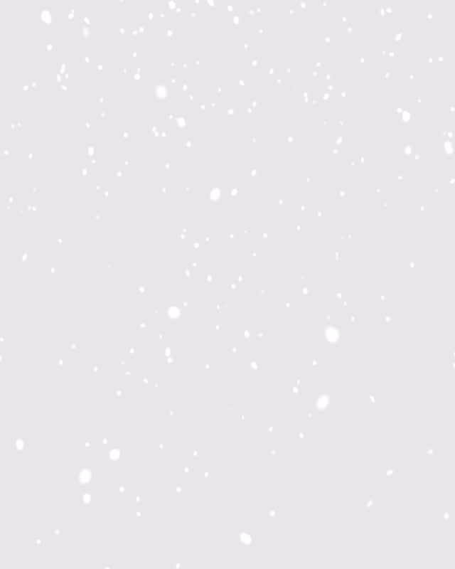 Áldott, Békés Karácsonyt kívánunk minden Partnerünknek!🎄🎅