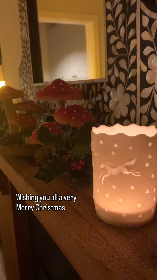 Wishing you all a very Merry Christmas 🎄 ✨🧚🏻
Thank you for all of your support this year.
We truly appreciate each and every one of you and look forward to seeing you in 2026, refreshed and ready for another wonderful chapter.
Kaya & the ET team x