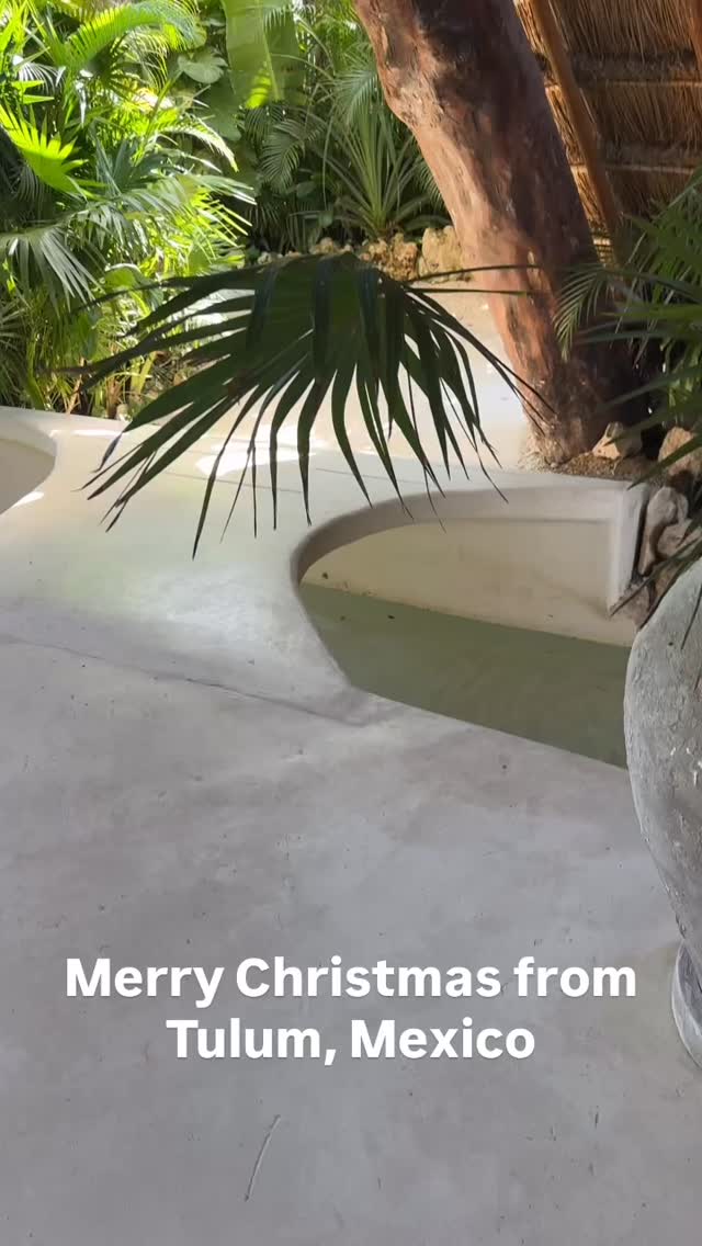 Merry Christmas 🎄 #grateful