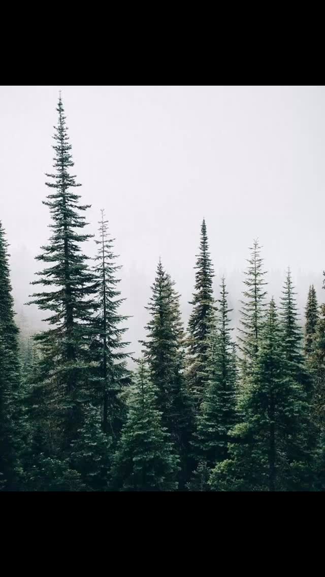 Tussen sneeuw, dennen
en wat nog even blijft liggen
dit kleine moment.
Voor wie dit leest:
wees zacht.
met jezelf.
met wat was.
met wat nog komt.
Warme kerstdagen 🌲
en veel liefs.
❄️🤍
