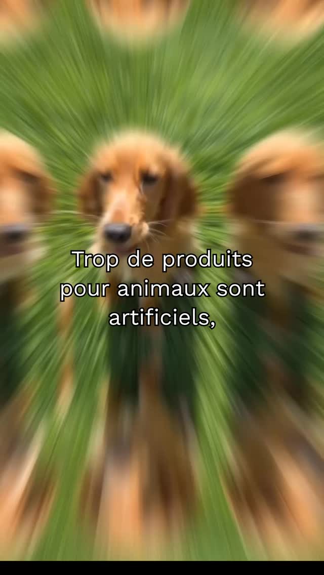🌿 Prendre soin d’eux, naturellement
🐶 Des formules simples et respectueuses
💚 Inspiré par l’amour qu’ils nous donnent
👇 Découvrir l’univers
Lien du site en bio
#madeinfrance #petproducts #cockerlove