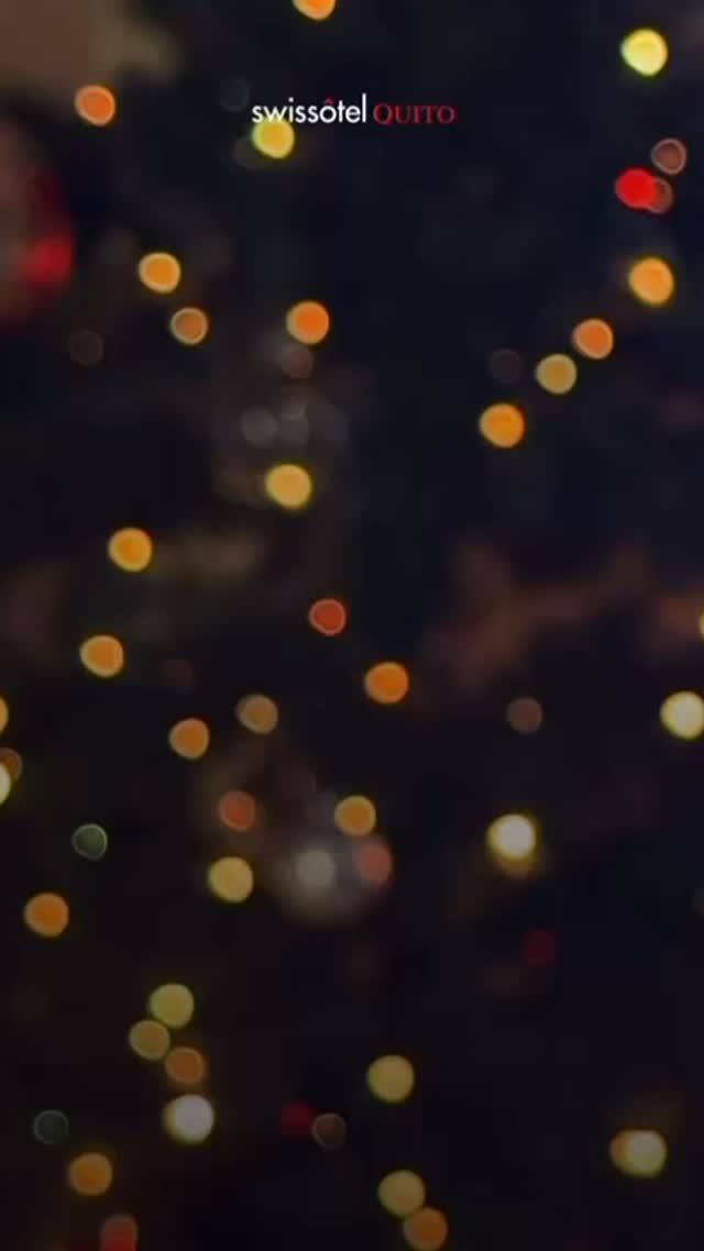 ✨ La Navidad es el momento perfecto para detenernos, agradecer y celebrar el bienestar de compartir.
En Swissôtel Quito vivimos estas fechas con elegancia, calidez y experiencias que inspiran, rodeados de quienes más queremos.
De nuestra familia para la suya, les deseamos unas Fiestas llenas de paz, armonía y momentos inolvidables. 🎄🤍
#SwissotelQuito #NavidadEnQuito #HotelDeLujoQuito #HospitalidadDeExcelencia