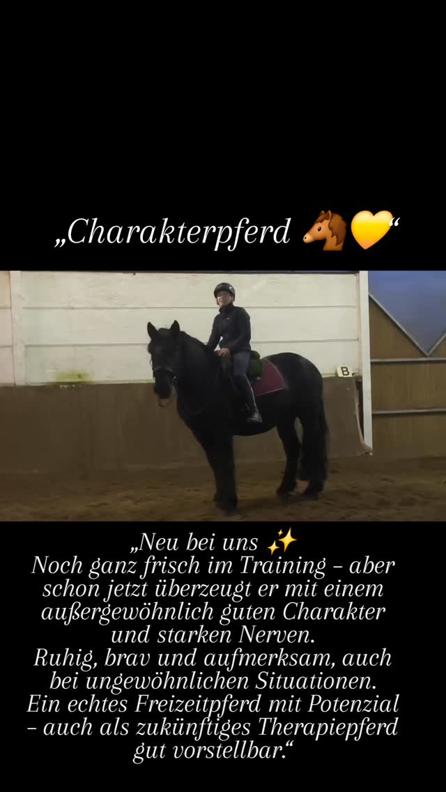 #Freizeitpferd
#Charakterpferd #BravesPferd
#Nervenstark#Familienpferd #Therapiepferd
#TherapiepferdGeeignet
#Kaltblut #Kaltblutliebe
#Verkaufspferd #Pferdeverkauf
#Pferdeliebe
#Reiterleben #EquestrianLife
#HappyHorse #HorsePersonality
#maresilange