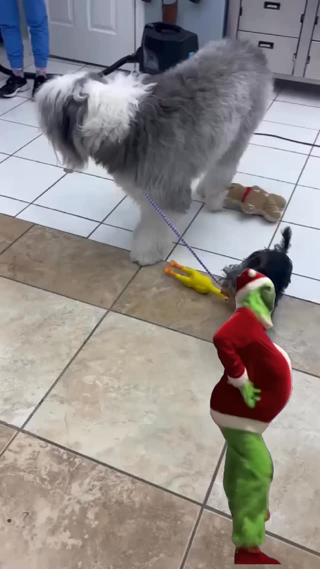 Porque en la clínica nunca faltan las travesuras 💚
— Palmetto Animal Clinic