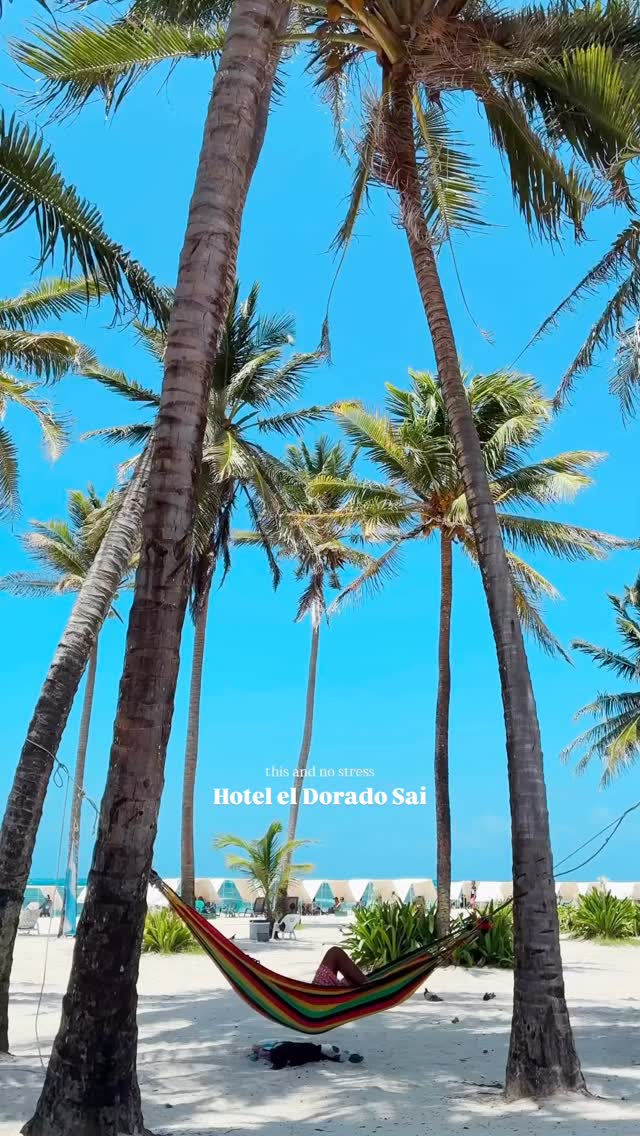 Nuestro patio delantero es de #sueños! 🌴🤩☀️
A solo 20 metros del mar, el encantador @hoteleldoradosai se encuentra junto a algunas de las mejores playas de nuestra paradisíaca isla de #SanAndrés 🫶🤙
Te invitamos a descubrir nuestro hotel y disfrutar de todo lo que lo rodea: playa, ambiente y magia caribeña. ☀️🏝️
@hoteleldoradosai
.
.
📞 Información y reservas: 317 401 1354
.
.
#VisitaSanAndrés #Peatonal #Playa ZonaRosa Mar Travel Turismo SanAndrésIslas