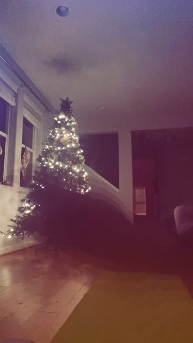 Happy Solstice! In this darkest day of the year, heed the invitation to go within, find stillness, breath, move gently, feeling safe know in the light is coming…