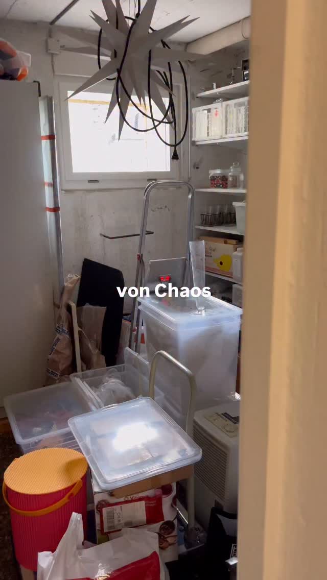 ✨folgendes passiert:
- Dein Zuhause wirkt grösser und harmonischer durch strukturierte Systeme und ästhetische Lösungen.
- Du sparst Zeit und Energie, weil Routinen einfacher funktionieren.
- Du bekommst ein langfristig stabiles Ordnungssystem, das zu deinem Leben passt.
- Du triffst weniger Entscheidungen, weil deine Umgebung dich nicht mehr permanent mental belastet.
Ready für ein neues Ordnungssystem in deinem Raum und Kopf? Melde dich per DM für ein kostenloses Erstgespräch und lass uns im Januar frischen Wind in deine 4 Wände bringen!🤍
.
.
.
.
.
.
home organizing
decluttering
familienalltag
ordnungssysteme
ordnung schaffen
schweiz
aufräumhilfe
#thun #bern #aufräumen #organisieren #loslassen minimalismus struktur kleiderschrank thehomeedit mariekondo ordnungstipps