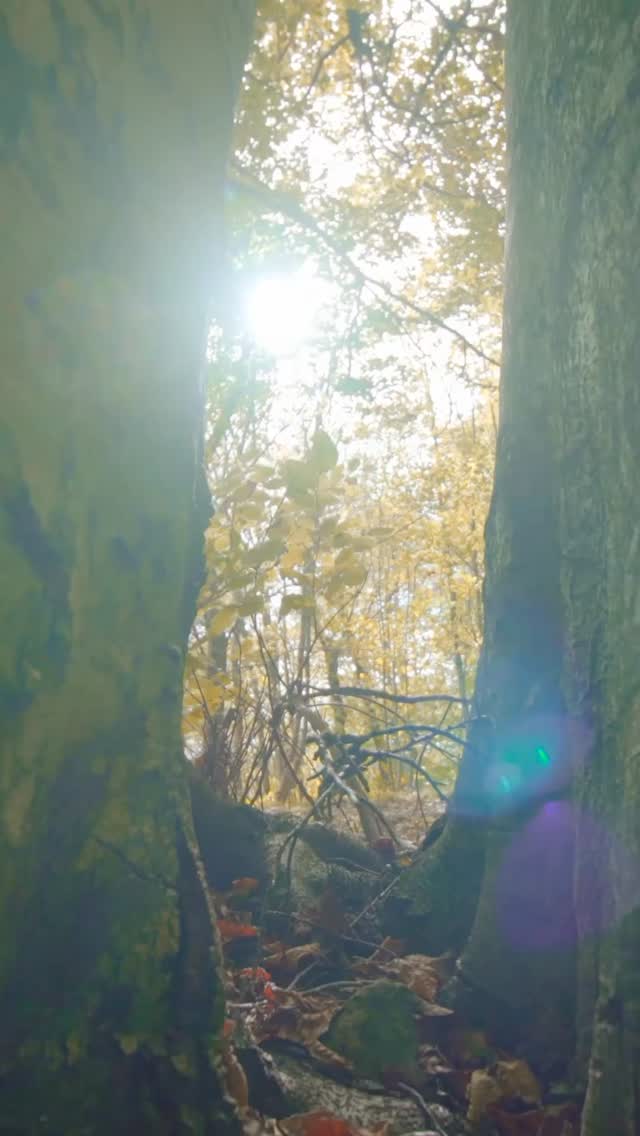 Një event që na kujtoi sa i rëndësishëm është shëndeti
-Christmas Health Event -