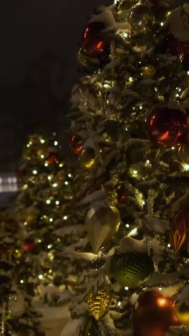 On vous souhaite un excellent réveillon de Noël 🎅 #christmas #christmas2025 #2025