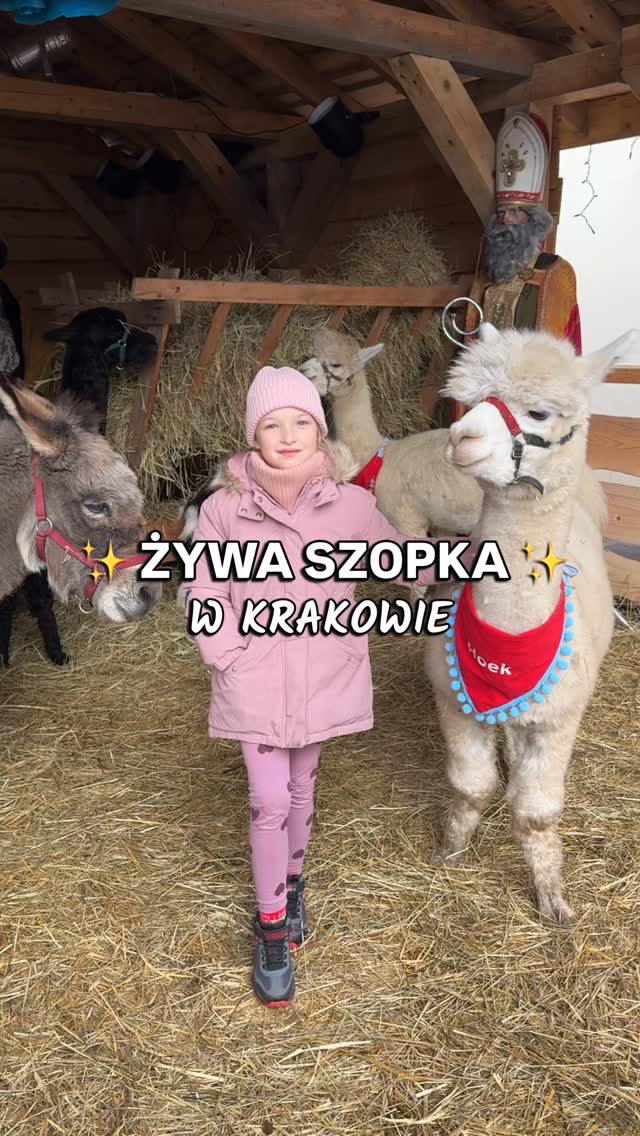 🎄 Żywa Szopka w Krakowie 🦙🐑
Jeśli szukacie klimatycznego miejsca na rodzinny spacer w świątecznym czasie, koniecznie zajrzyjcie tutaj 👇
📍 Sekret Smaku – ul. Bociana 8
Czeka tu na Was żywa szopka, w której spotkacie alpaki, kozy, owce i osiołka z gospodarstwa Jeziorkowo 🐾
Można wejść do zagrody, nakarmić i pogłaskać zwierzątka, a wrzucając datek do puszki, wspieracie Fundację Anny Dymnej „Mimo Wszystko” ❤️
📅 Szopka czynna do 6 stycznia
Po wizycie polecamy zajrzeć do restauracji Sekret Smaku – pyszna polska kuchnia, wyroby garmażeryjne, kącik dla dzieci, a w wybrane dni także koncerty kolęd i spektakle 🎶✨
✨ Zapisz to miejsce i obserwuj po więcej polecajek!
#krakow #krakowplaces #żywaszopka #kraków #gdziezjescwkrakowie
• Żywa szopka • Gdzie zjeść w Krakowie • Atrakcje dla dzieci • Kraków z dzieckiem • Żywa szopka w Krakowie •
