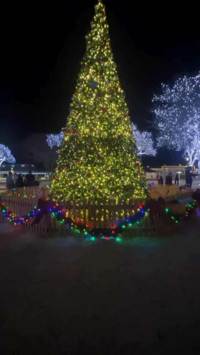 Still soaking in all the magic from this holiday season ✨
From our Light the Night Parade to cozy dinners, laughs with friends, sweet family moments, awkward photos, and plenty of time with the pups — my heart is so full.
Being able to live in this beautiful little town is something I never take for granted. I feel incredibly lucky to do what I love right here at home and share life with the most beautiful people. This season was nothing short of love-filled, and I’m carrying that gratitude straight into the New Year.
Wishing each of you so much love and peace. I hope your holidays were just as special. 🤍🐾🎄
#GratefulHeart #FredericksburgTX #HillCountryHolidays #SmallTownMagic #LocalLove #HolidayHighlights #LoveWhereYouLive #Thankful #BlessedLife