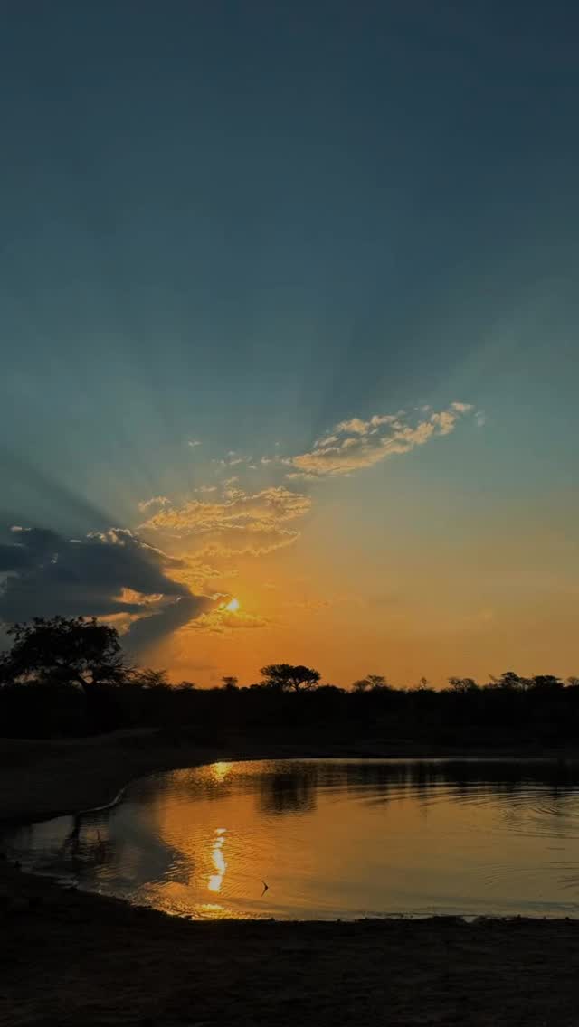 As 2025 comes to an end, we’re grateful for every guest who shared our corner of the Timbavati, every sunrise, every laugh, every sighting that stopped us in our tracks.
Thank you for being part of our story.
And to our incredible Siviti team - thank you for your heart, your hard work, and the way you pour care into every moment our guests experience. We couldn’t do any of this without you.
Here’s to new beginnings, new adventures, and a beautiful year ahead.
#safari #africansafari #wildlifeofsa #wildlifesafari #wildlifeofinstagram krugernationalpark thornybushgamereserve luxurysafari luxurysafarilodge travelsouthafrica southafricasafari big5 conservation thisissouthafrica soulful_moments wildlife