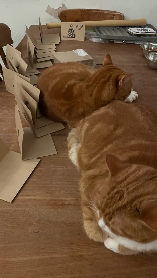 Seriously. It’s like they played dominoes! 🙃
#catsofinstagram #lifewithcats #linocutprint