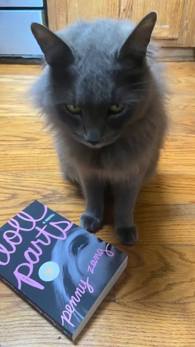 My 2025 year in review. What a wild year it has been. Happy New Year and cheers to 2026.