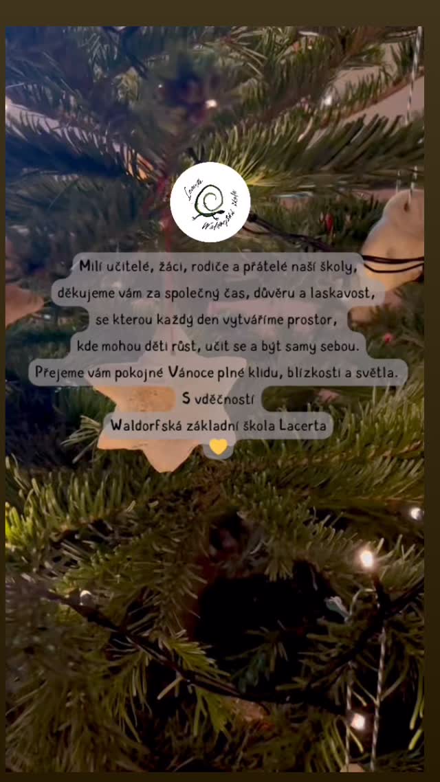Vděčnost. Klid. Světlo.
Krásné Vánoce všem, kteří jsou součástí naší cesty. 🤍
S láskou Lacerta 🦎
#waldorflacerta #skola #znojmo #děti