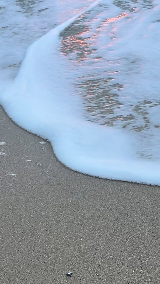 Noël, pour moi,
c’est le retour de la lumière
et la magie de l’émerveillement,
qui agit comme un appel d’air dans notre être, en y remettant du souffle.
Et dans l’être, il y a toujours l’autre. Toujours.
Celui qu’on apprend à regarder autrement,
avec douceur.
⭐️ Et pour vous, que représente Noël ?
.
.
.
.
.
#noel #magie #emerveillement #lumiere #solstice #sunset