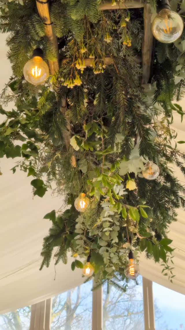I can't help it! I love Christmas!!! 😂
Merry Christmas everyone!
To all my couples, past, present and future, to my wonderful flower growers, all the venues and the other fabulous suppliers I work with. 🥰
Here's to a fantastic 2026!!!
#merrychristmas #christmaswishes #happychristmas #behindthescenes #behindthescenesflorist